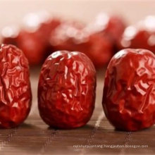 Best quality red jujube fruit dates wholesale export